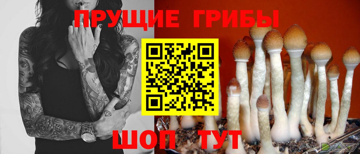 Гусев  хочу наркоту  Вход с VPN  Галлюциногенные грибы прущие грибы 