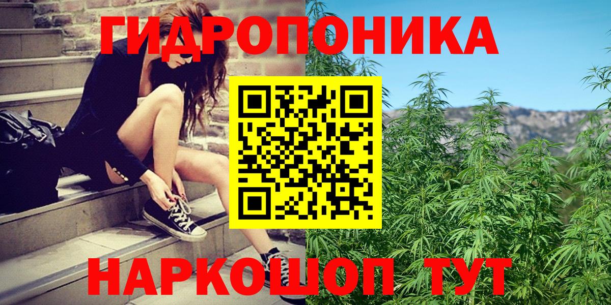Гусев  Бошки марихуана планчик  Бошки Шишки White Widow  Бошки марихуана марихуана  Вход с VPN  Марихуана ГИДРОПОН 